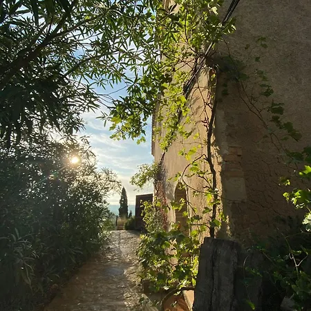 Ebrevista